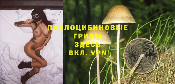 мяу мяу мука Няндома