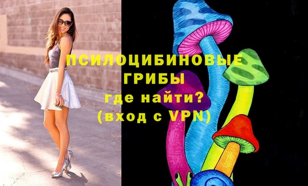 мяу мяу мука Новокубанск