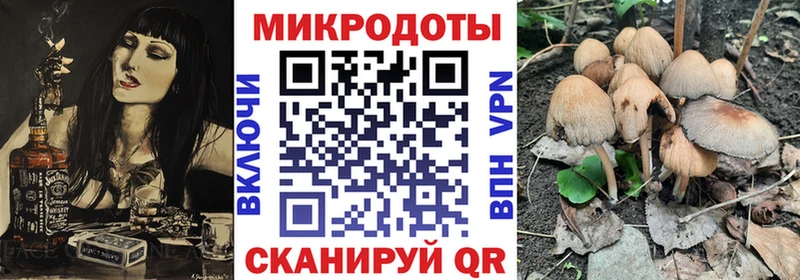 Галлюциногенные грибы мухоморы Новоаннинский