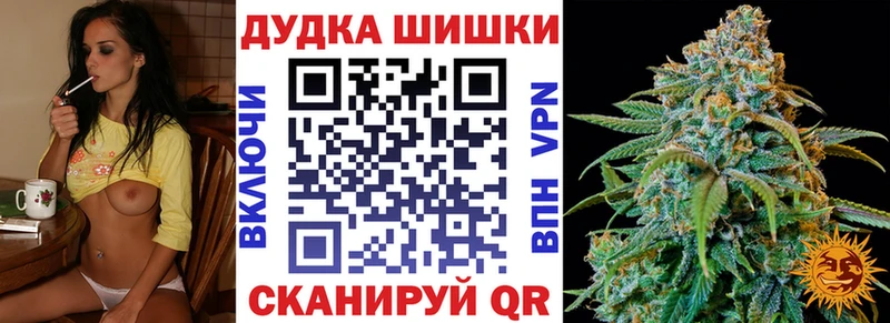 Каннабис планчик Новоаннинский